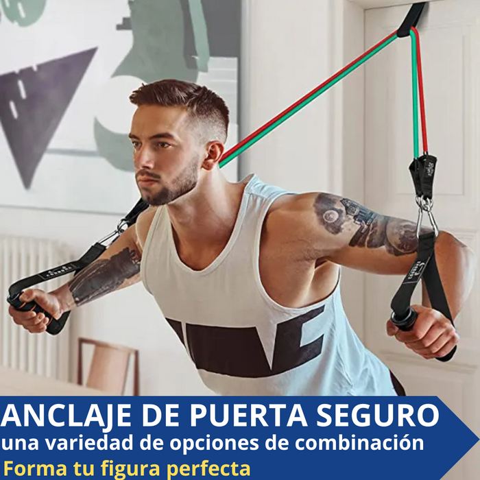 FitFlex Pro Bands | Bandas Elásticas | Flexibilidad, Fuerza y Bienestar a tu Alcance