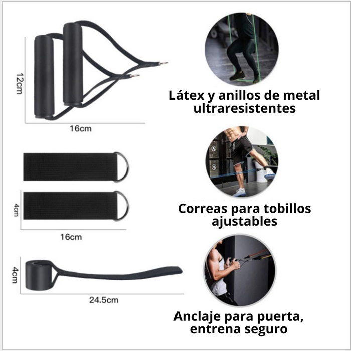 FitFlex Pro Bands | Bandas Elásticas | Flexibilidad, Fuerza y Bienestar a tu Alcance